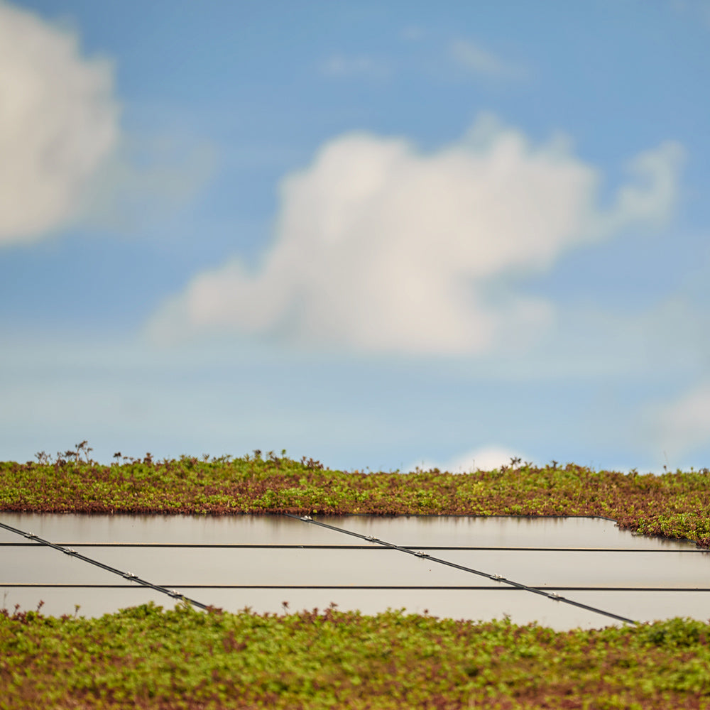 Solceller_1000x1000_14e6efa5-81ac-47c8-9860-0028e4e779ba.jpg