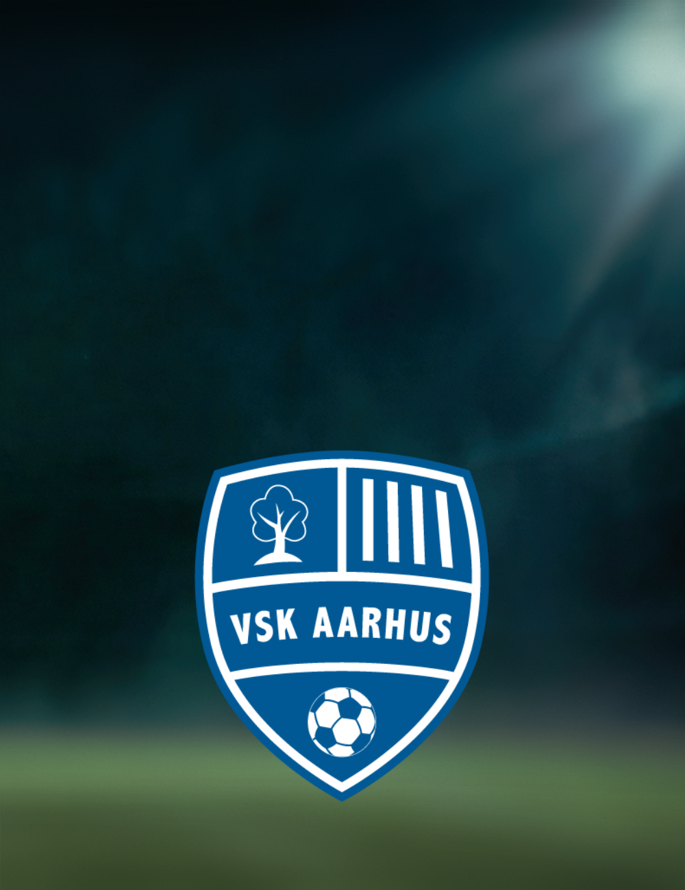 VSK_1.png