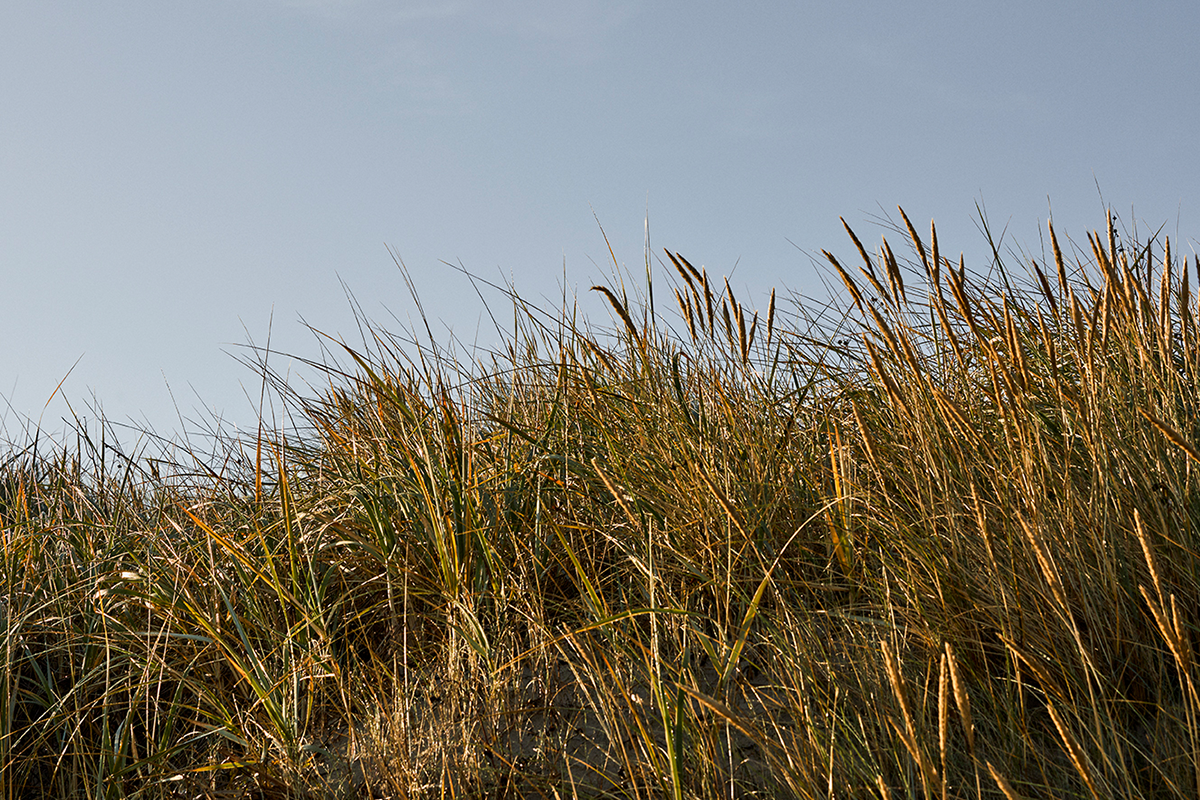 blaa-himmel_1536x694_ba18e60a-e137-42dc-8bbb-ac8e7f794c62.png